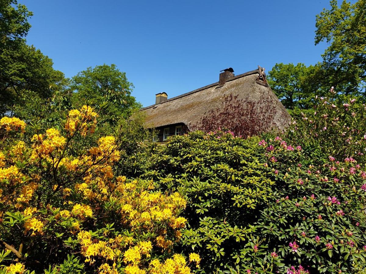 Hof Lindemann Schneverdingen Exterior foto